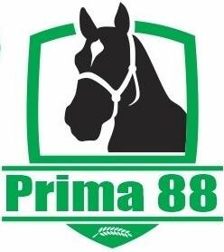 Trademark PRIMA 88