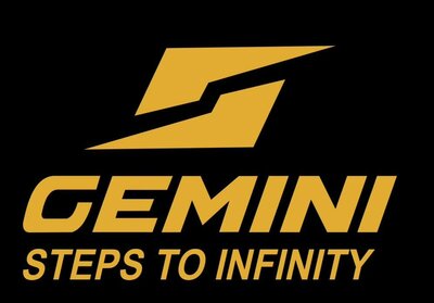 Trademark GEMINI STEPS TO INFINITY + LOGO