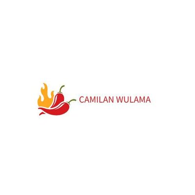 Trademark CAMILAN WULAMA