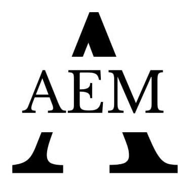 Trademark AEM + LOGO