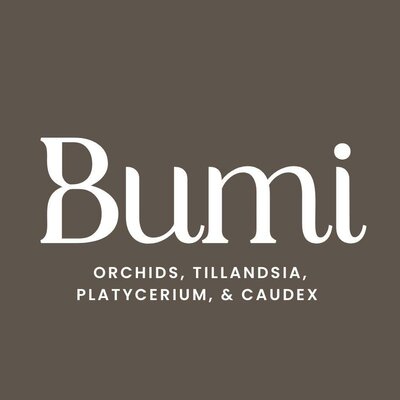 Trademark Bumi