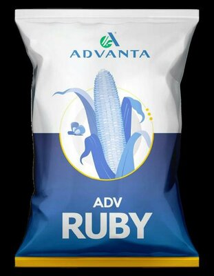 Trademark ADVANTA ADV RUBY