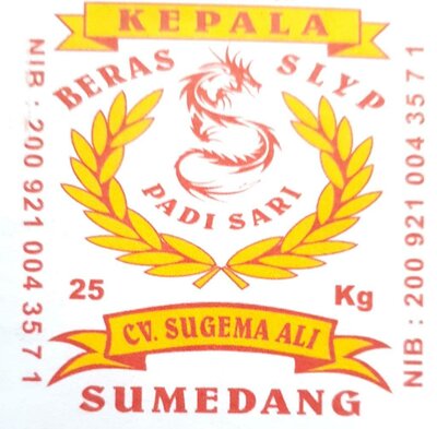 Trademark PADI SARI