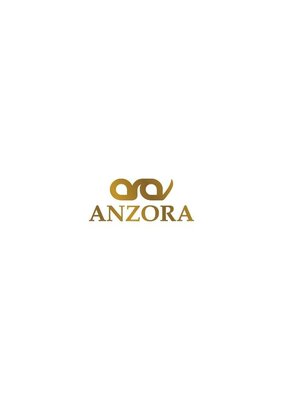 Trademark ANZORA dan logo