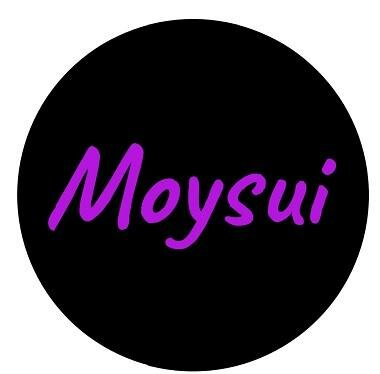 Trademark Moysui + Logo