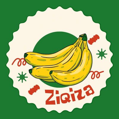 Trademark ZIQIZA + LOGO