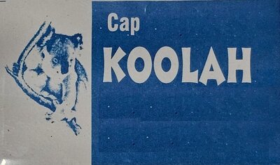 Trademark CAP KOOLAH + LOGO