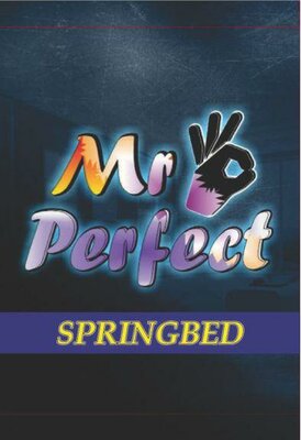 Trademark MR PERFECT SPRINGBED + LOGO