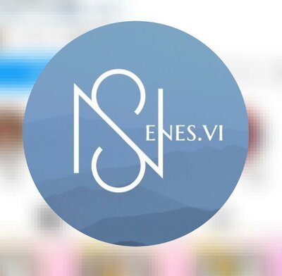 Trademark ENES.VI + LOGO