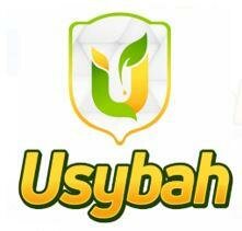 Trademark USYBAH & Logo