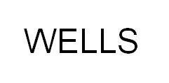 Trademark WELLS