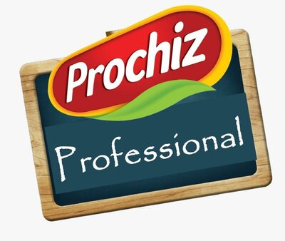 Trademark PROCHIZ Professional + lukisan