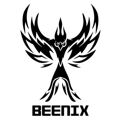 Trademark BEENIX