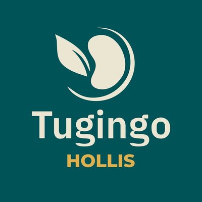 Trademark Tugingo HOLLIS