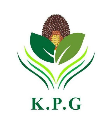 Trademark K.P.G DAN LOGO