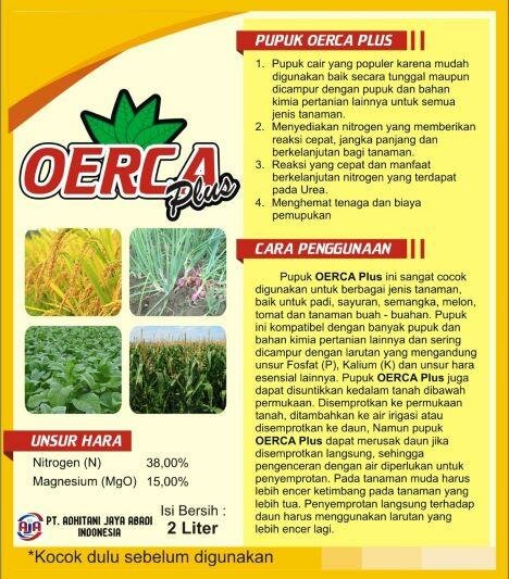 Trademark OERCA Plus