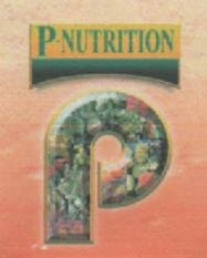 Trademark P NUTRITION + LOGO