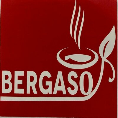 Trademark BERGASO