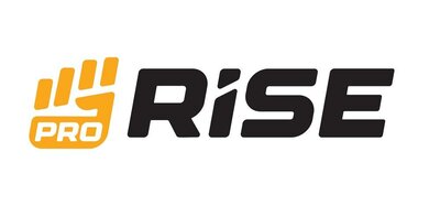 Trademark PRO RISE dan Lukisan