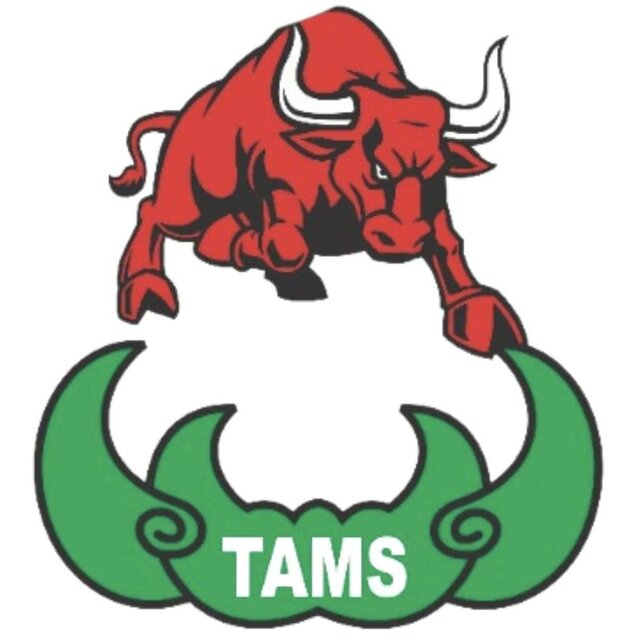 Trademark Tams + Logo