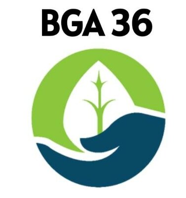 Trademark BGA 36