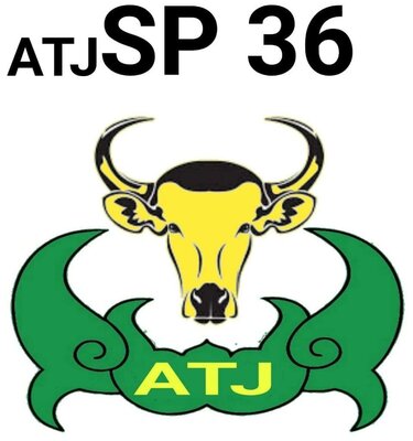 Trademark ATJ SP 36