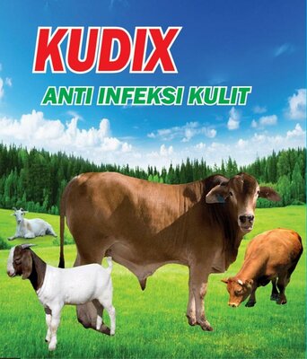 Trademark KUDIX