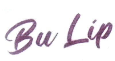 Trademark BU LIP