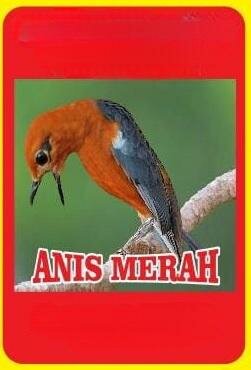 Trademark ANIS MERAH + GAMBAR