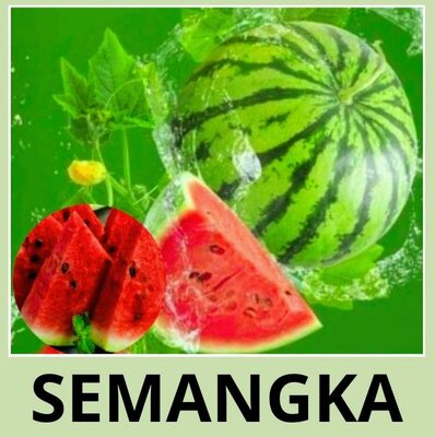 Trademark SEMANGKA + GAMBAR