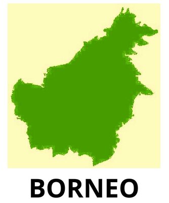 Trademark BORNEO + GAMBAR