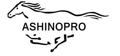 Trademark ASHINOPRO + Logo