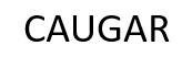 Trademark CAUGAR