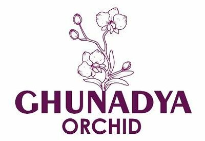 Trademark GHUNADYA ORCHID + Logo