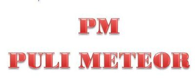 Trademark PM PULI METEOR