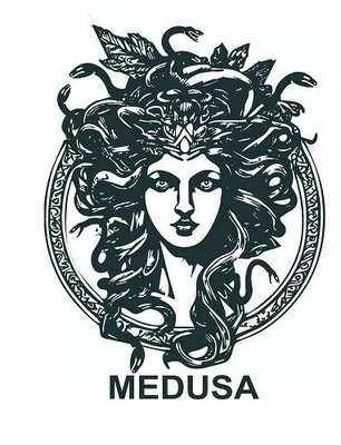 Trademark MEDUSA dan logo kepala