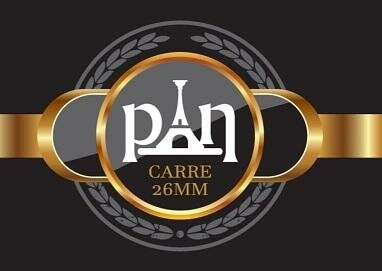 Trademark PAN CARRE 26MM + LOGO