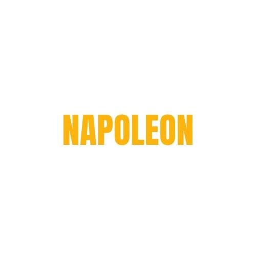 Trademark NAPOLEON