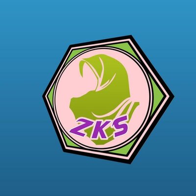 Trademark ZKS DAN LOGO