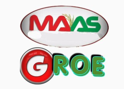 Trademark MAAS GROE