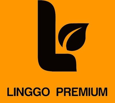 Trademark LINGGO PREMIUM + Logo