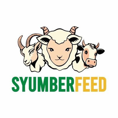 Trademark SYUMBERFEED