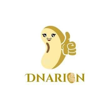 Trademark DNARION + Lukisan/ Logo