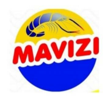 Trademark MAVIZI + Lukisan/ Logo