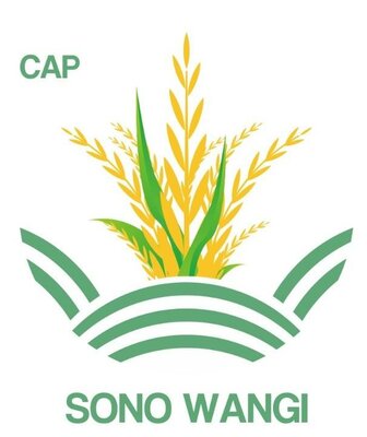 Trademark CAP SONO WANGI + LUKISAN