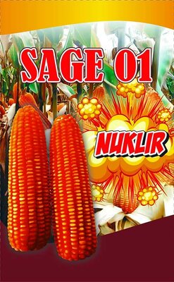 Trademark SAGE 01 NUKLIR