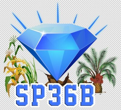 Trademark S P 36 B + Gambar/Logo