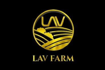 Trademark LAV Farm