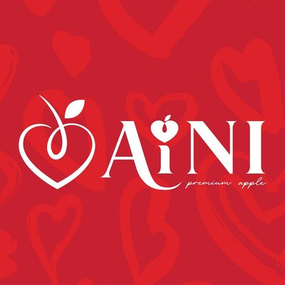 Trademark AINI + LOGO