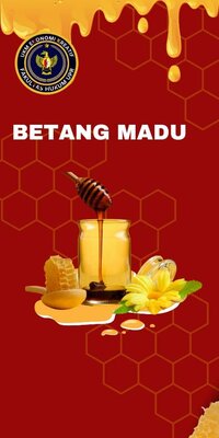 Trademark BETANG MADU